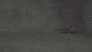 Laser Level 2 Line Sinar Hijau Alat Pengukur Dimensi 2 Garis Waterproof