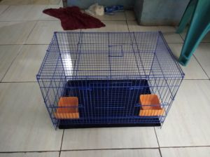KANDANG LOVEBIRD UMBARAN KUCING UKURAN 45X30 REDY SIAP KIRIM