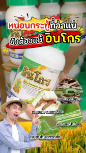 อินโกร ขนาด 250 ซีซี อินดอกซาคาร์บ หนอนกอ หนอนม้วนใบ หนอนเจาะลำต้น