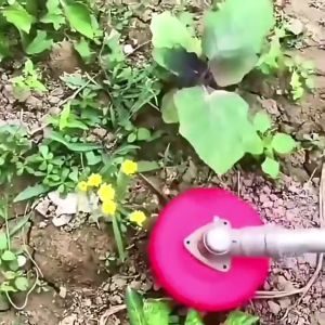 Grass Eater Trimmers Head: A Comprehensive Guide