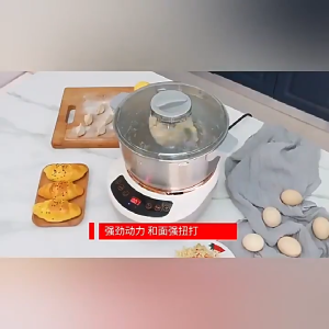 German Flour-Mixing Machine Household Small Intelligent Kneading Dough Automatic Stirring and Waking Dough Fermentation All-in-One Machine Wake-up Noodles Integrated Stand Mixer