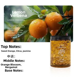Deodorizing Scented Beads Air Freshener