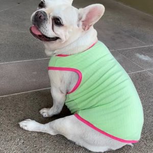 COTTON RIP เสื้อหมา เสื้อน้องหมา ยืดหยุ่น ระบายอากาศ เสื้อสุนัขอ้วน นุ่มสบาย เบา ไม่ย้วย ไม่ร้อน คอตตอน 100% สีสันสดใส