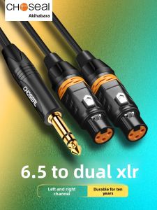 Choseal | Stereo 6.5mm to Dual XLR Male and Female Audio Cable