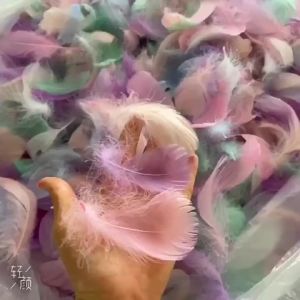 100/200/300Pcs Goose Feathers Plumes 4-12cm Colourful Swan Feather Plume for Home Decoration Craft DIY Party Jewelry Decoration