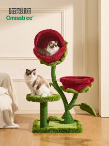 Cmisstree | Spatulate Design Small House Suitable Not Space-Occupying Household Large Cat Use Cat Tree