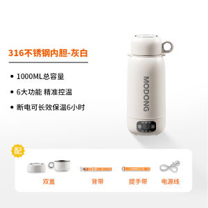 Portable Travel Electric Water Bottle Heating Insulated Cup Boiling Water Carriage Stainless Steel 1L Capacity Intelligent Temperature Control