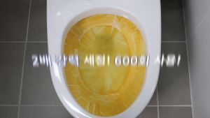 Bộ 10 vỉ (20 viên) tẩy khử mùi toilet Homes Queen nhập khẩu Hàn Quốc - 1 Viên dùng được tới 1 tháng rưỡi