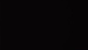 Godox VSS-R01 Smartphone Rig ที่จับมือถือแบบ Rig ลดการสั่นไหว จับถนัดมือ / Digilife Thailand