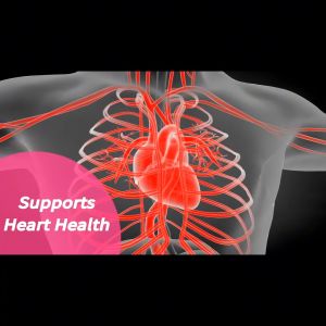 SNGHWE Organic COQ10 Coenzyme Q10 Capsules Promotes Cardiovascular Low Blood Sugar Level Health Heart Provides Energy for Overall Health