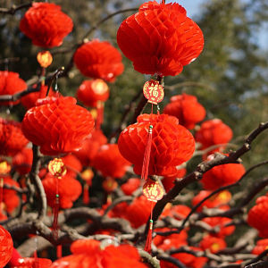 5Pcs 5-12inch Foldable Chinese Red Lanterns Plastic Paper Honeycomb Traditional Festival New Year 2024 Hanging Decoration