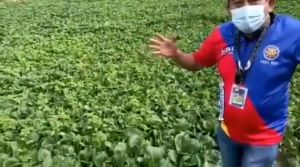 CANAAN NANO ORGANIC LIQUID FERTILIZER - 1 GALLON