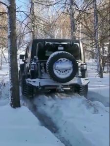 tời điện 12v 4500lbs máy tời điện 2000kg