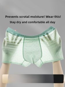 MiiOW | Mens Ice Silk Antibacterial Underwear Flat Angle Short Pants Breathable Comfortable Briefs Mid Waist Nylon Spandex Blend