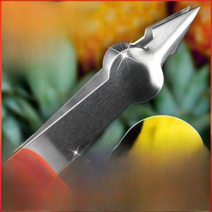 Stainless Steel Pineapple Picker Fruit Eye Remover Kitchen Tool for Home Use Pineapple Corer Hole Digging Tool