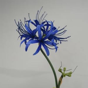 Artificial Red Spider Lily Silk Flowers with Long Stem Home Table Decor Paramita Lycoris Radiata Mandala Manjusaka Silk Flowers