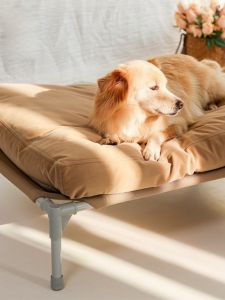 KRpet Dog Bed Military Style Off-The-Ground Breathable Waterproof Detachable Large Medium Dog Bed Pet Supplies