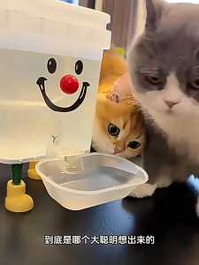 3/5L Pet Automatic Water Dispenser Food GradeLarge Capacity Transparent Cat Dog Drinking Fountain