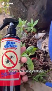 PEMBASMI SEMUT PALING AMPUH ANTI SEMUT EFEKTIF RACUN SEMUT RAMAH LINGKUNGAN - 250 ML