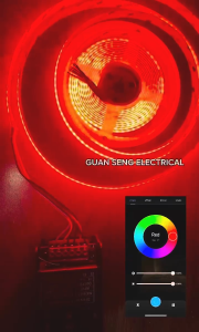 Premium RGBCW COB LED Light Strip Dimmable 5M 24V | Guan Seng Electrical