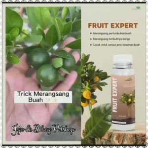 Paket Pupuk Pelebat Buah Organik POC Buah & Fruit Expert - INFARM