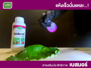 เบสมอร์ ขนาด 500cc และ 1 ลิตร สารจับใบ น้ำยาจะแผ่กระจายกว้าง ทำให้สารเคมีเปียกทั่วผิวพืชอย่างรวดเร็ว