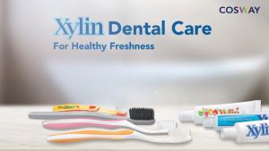 Xylin Herbal Fresh Breath Anti-Cavity Toothpaste 100g - Single Pack