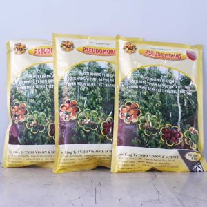 1Kg PSEUDOMONAS  Trừ Bệnh Héo Rủ Héo Xanh Thối Cổ Rễ  Vàng Lá - Bột Hòa Tan
