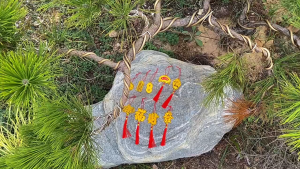 【2026  】2026 Spring Festival Small Pendant Golden Ingot Hanging String Decoration Car Decoration Fortune Tree Pendant