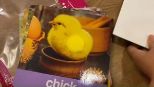 Flash card สัตว์ป่ามหาสนุก แฟลชการ์ดสิ่งของ ของใช้ Flash Card Animal things การ์ดคำศัพท์พื้นฐาน บัตรคำ เสริมพัฒนาการ flashcard สัตว์น่ารัก