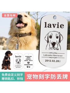 Petcare Customizable Double-Sided Engraving Depth Carving Dog Tag Anti-Lost Stainless Steel Pet Tag Metal Material Pet Accessories