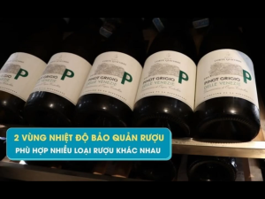 Tủ bảo quản rượu Malloca MWC95BI thiết kế âm tủ cao cấp sức chứa lên đến 95 chai dung tích 241L