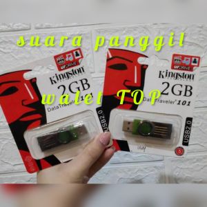 Suara Panggil Walet AKAU RESPON JOSS pemanggil koloni walet