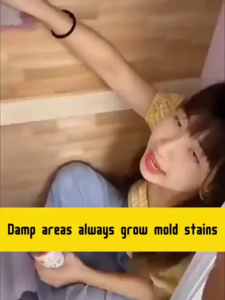 stain and mold remover 清潔劑 Kitchen Spray Wall mold remover Mold Mildew mold remover Toilet Stain Removal Remover Bathroom magiclean stain mold remover Cleaner