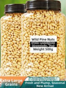 Premium Large Pine Nuts Raw and Roasted
