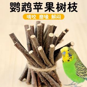 Parrot Apple Branch Specific Teeth Grinding Stick Bird Pet Toys Self Entertaining Parrot Beak Grinding Device Bird Supplies