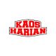kaos harian