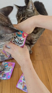 [NHẬP KHẨU THÁI - COMBO 5 GÓI] JUICY BITES Bánh Thưởng Cho Mèo🐈 Nhiều Vị Lựa Chọn - Bổ Dưỡng Cho Boss Yêu