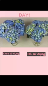DUNG DỊCH NƯỚC CẮM HOA TƯƠI LÂU 500ML COMBO 2 CHAI | NƯỚC DƯỠNG HOA CHỐNG THỐI GỐC