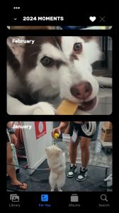 [TooToo Tale] 💎Authentic Himalayan dog chew 牦牛芝士棒🏔️💎The Natural Healthy Dog Dental Chew Long Lasting Nutritious Original