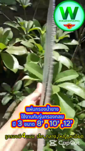 แผ่นกรองน้ำยางพาราคุณภาพสูง หลากขนาด สำหรับสวนและกลางแจ้ง