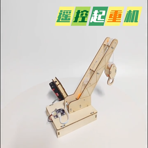 STEM DIY for Kids Educational Science Toy - Remote-Control Tower Crane Kids Science DIY Toys - Science Experiment Toys