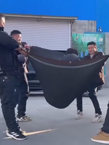 98% sunblock black sunshade net effectively blocking the invasion of ultraviolet rays Blacke/Brown#ZYW