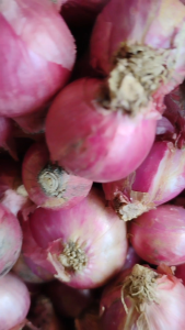 500 gr bawang merah asli garut super berkualitas