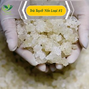 Tuyết Yến Thượng Hạng 1Kg Tự Nhiên Loại Cao Cấp Sạch Ngon Dùng Nấu Chè Dưỡng Nhan Thanh Nhiệt Làm Đẹp Tại Thảo Mộc Gama