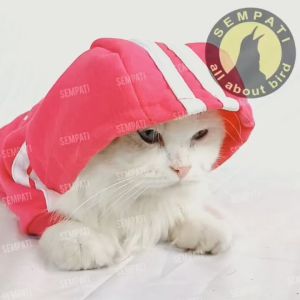 SEMPATI Adidog Hoodie Kucing Anjing One Set Sweater Jaket Celana Pet Clothes Cat Dog Apparel Baju Pakaian Kostum Cosplay Kucing Anabul Kitten Puppy Kelinci Monyet Outfit Hewan Premium