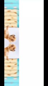 Cartoon Pet Cooling Mat Gel-Infused Waterproof & Comfortable Sleep Pad