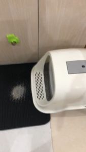 Thảm hứng cát mèo nhiều size thảm lót cát đi vệ sinh cho mèo thảm chống văng cát