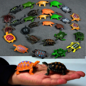 Realistic Turtle Educational Toy Plastic