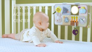 Infantino | Taf Toys Developmental Activity Center